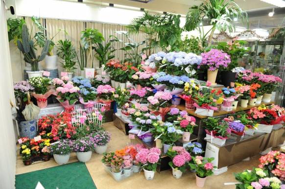 「クロダ生花店」　（広島県世羅郡世羅町）の花屋店舗写真2